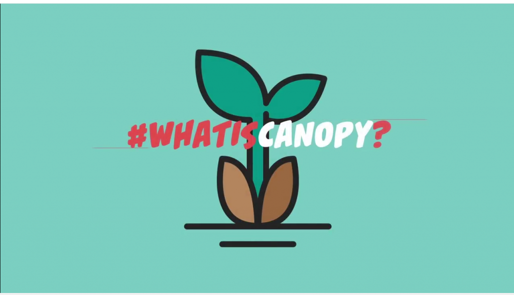 Primul an Canopy. De la alegerea brandului la 1,5 Milioane € buget PPC