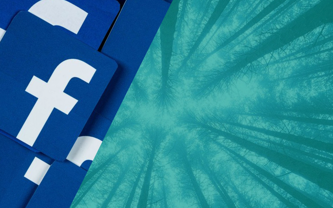 Automatizările Facebook pentru Black Friday și campaniile de sărbători